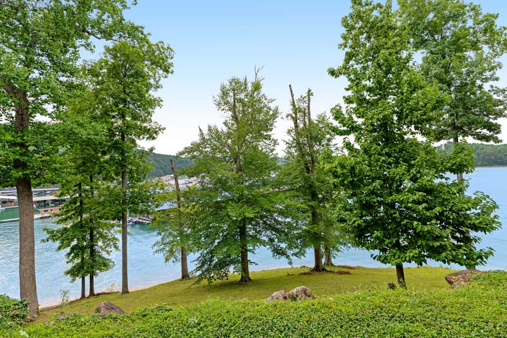 Lake Norris Escape・Lake Views・Dock Access・Sleeps 6