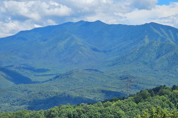 🏞️ 𝗕𝗲𝗮𝗿𝘀 𝗗𝗲𝗻 𝗶𝗻 𝘁𝗵𝗲 𝗦𝗸𝘆
Escape to this newly remodeled Gatlinburg condo on Ski Mountain with breathtaking Smoky Mountain views from every room. Near Ober Mountain, downtown Gatlinburg, Great Smoky Mountains National Park, and Pigeon Forge attractions. Enjoy indoor/outdoor pools, hot tubs, fireplace, private balcony, full kitchen, WiFi, Smart TVs, and family-friendly amenities. Sleeps 8 with cozy luxury bedding and unforgettable mountain sunsets.