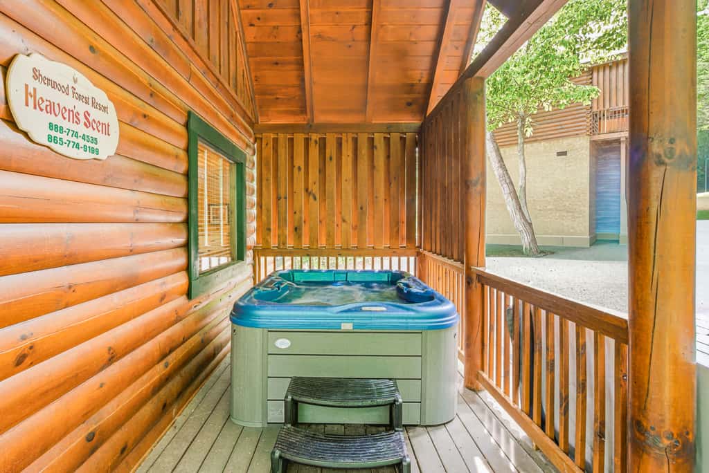 Luxe Cabin, Sleeps 4, Mtn views, Hot Tub, Shared Pool