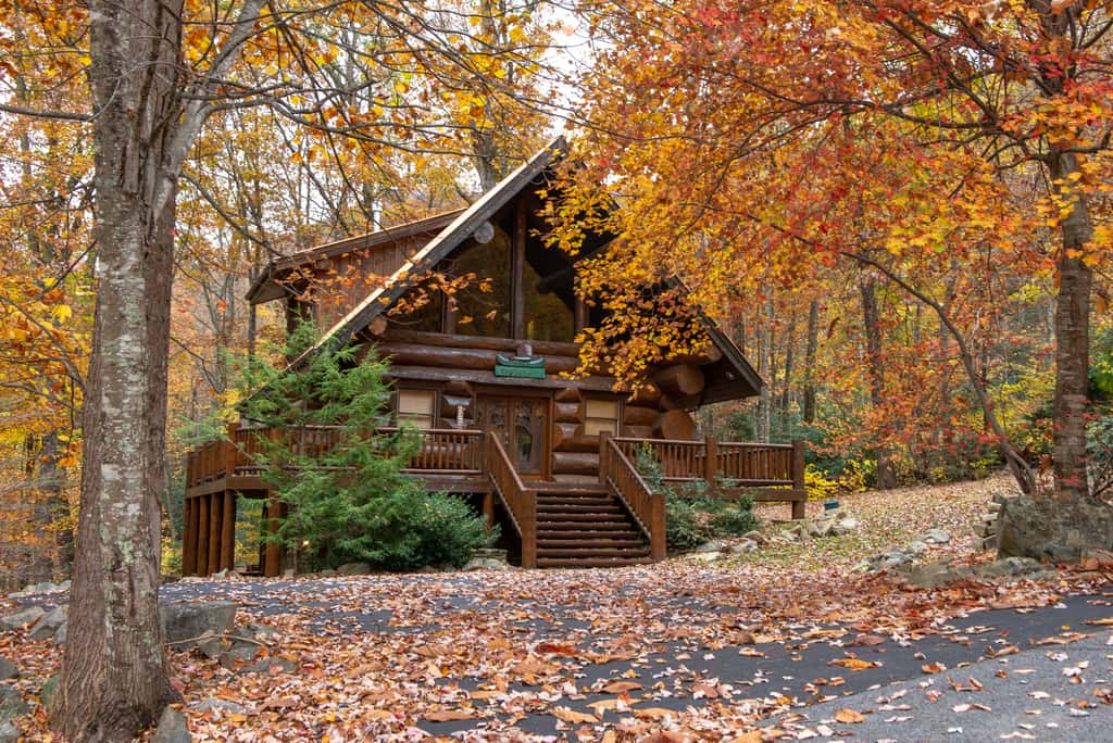 Pet Friendly Near Dollywood Cabin・Hot tub・Views