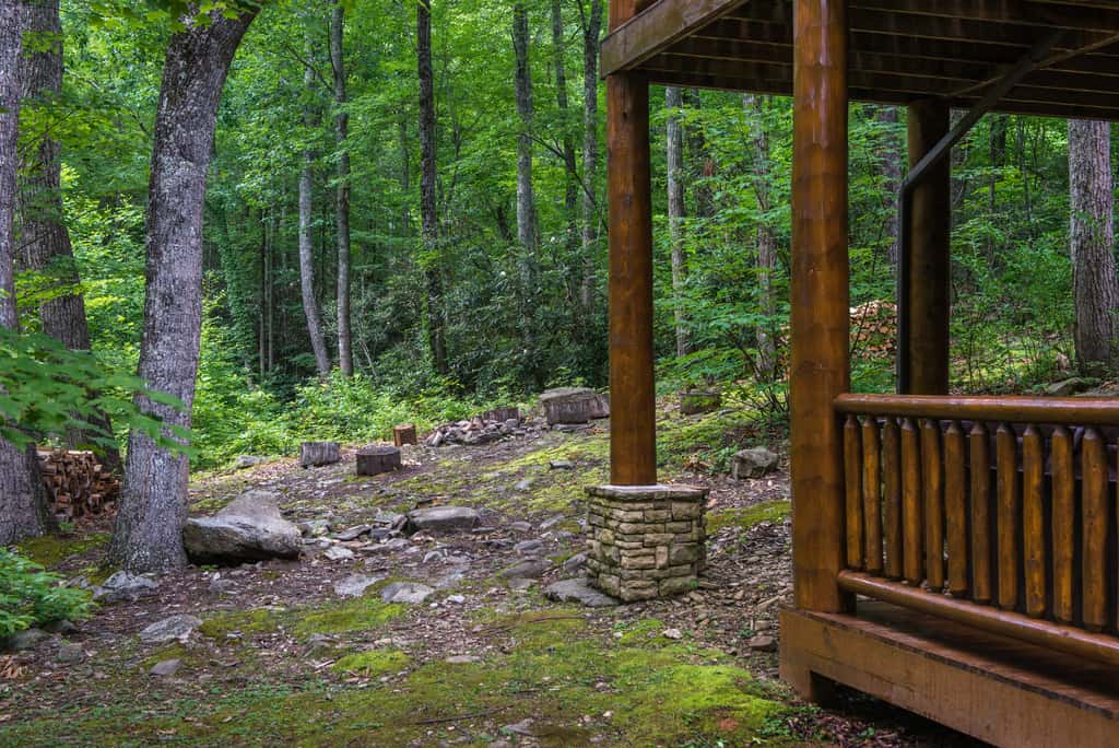 Pet Friendly Near Dollywood Cabin・Hot tub・Views