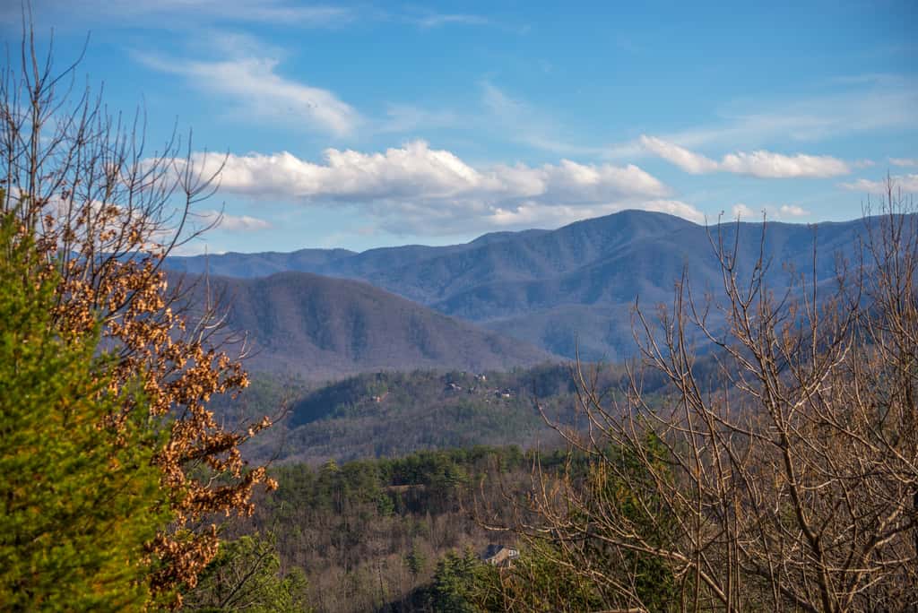 0.7 Mi to DT Pigeon Forge・Dog Ok Stay・Hot Tub・Pool