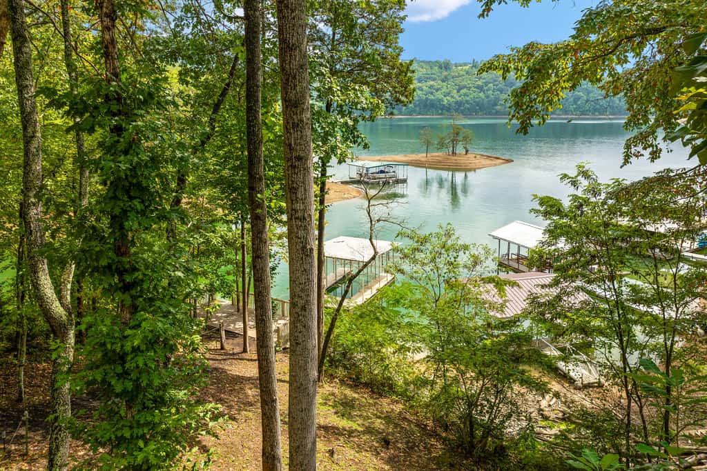 Lakefront Norris Cabin Retreat・Dock・Games・Hot Tub