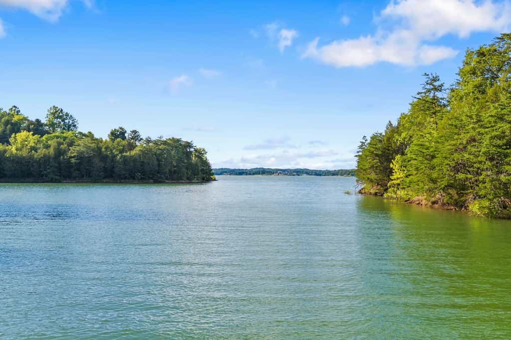Brand New Cabin Overlooking Douglas Lake・Hot Tub