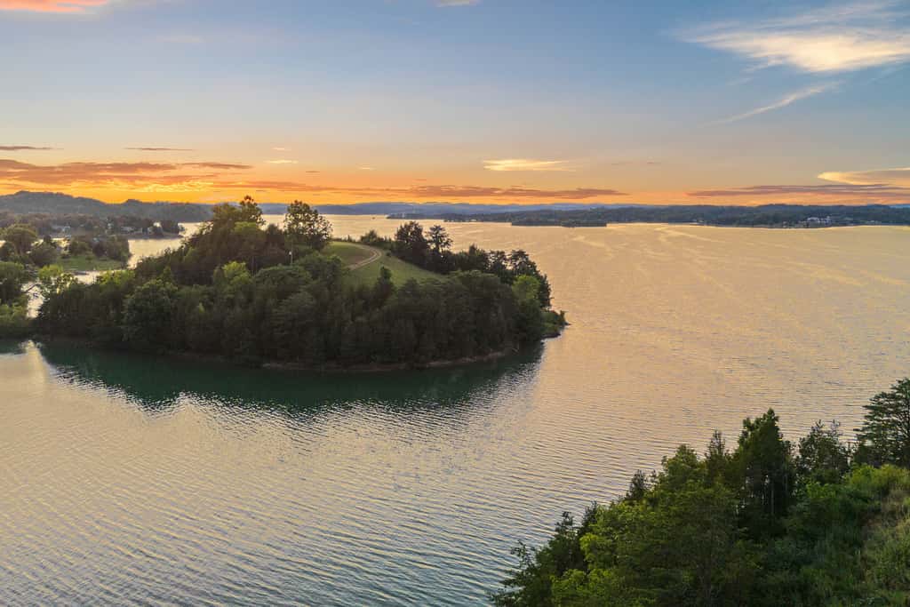 Brand New Cabin Overlooking Douglas Lake・Hot Tub