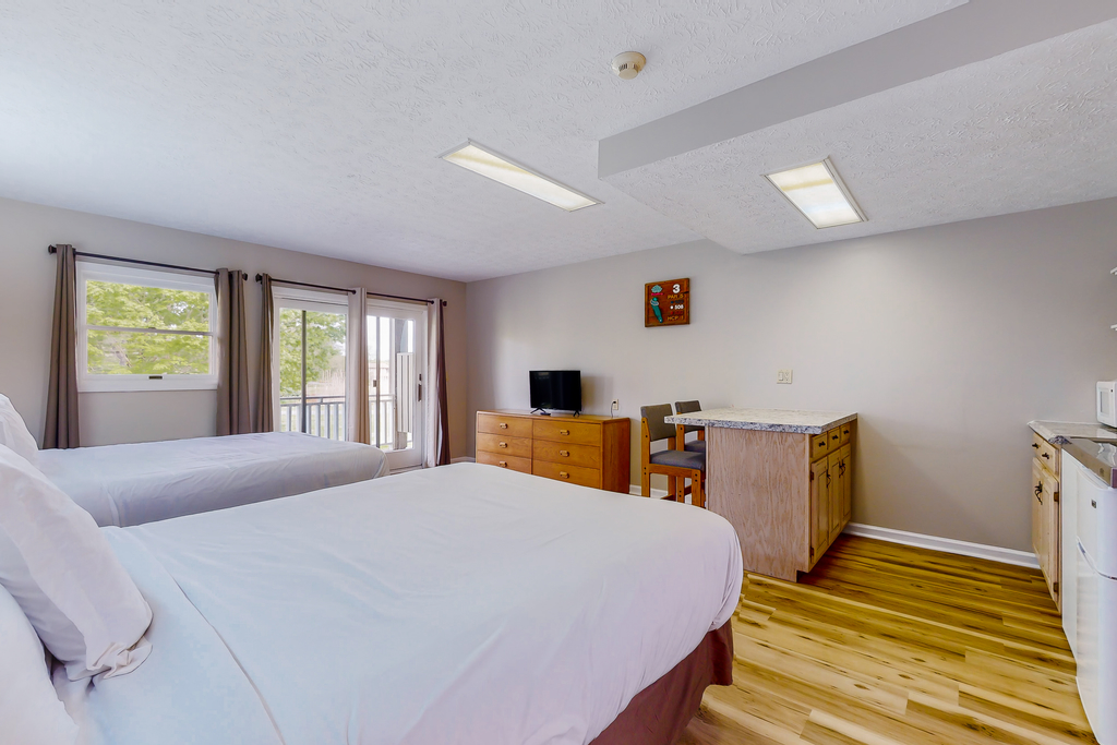 Near Douglas Lake, 1st Floor Studio, Dog Friendly