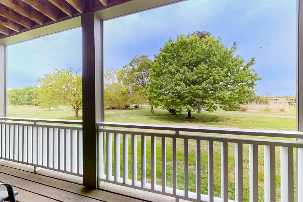 🏞️ 𝗕𝗮𝗻𝗲𝗯𝗲𝗿𝗿𝘆 𝗜𝗻𝗻 𝟯
Enjoy a bright, spacious stay with a kitchenette, smart TV, WiFi, patio, and community gym, game room, picnic area, and laundry. Dog-friendly first-floor studio near Douglas Lake with easy access to the Smoky Mountains. Perfect home base for lake activities, hiking, fishing, kayaking, and exploring Pigeon Forge, Sevierville, Dollywood, and Great Smoky Mountains National Park. 