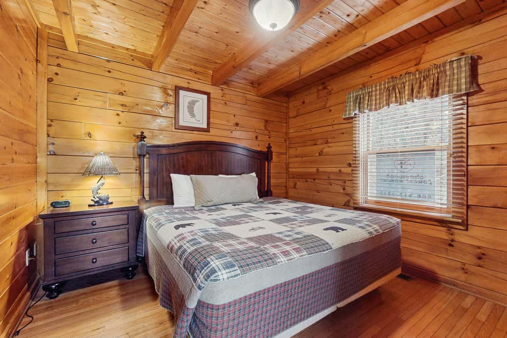 Cabin N Gorgeous Wooded Setting, Sleeps 6, Hot Tub
