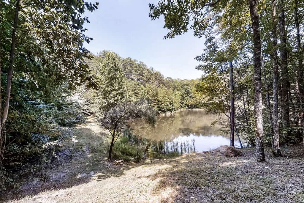 🏞️ 𝗣𝗲𝗮𝗸 𝗔 𝗩𝗶𝗲𝘄
Is a custom-built 3BR Smoky Mountain cabin in Townsend, TN, near Wears Valley, Pigeon Forge & Gatlinburg. Sleeps 9 with 3 levels, hot tub, stone fireplace, foosball, and private catch-and-release pond. Enjoy forest views, large deck with grill & swings, fully equipped kitchen, and easy paved access with parking for 4 vehicles. Peaceful yet close to top attractions, perfect mountain getaway.