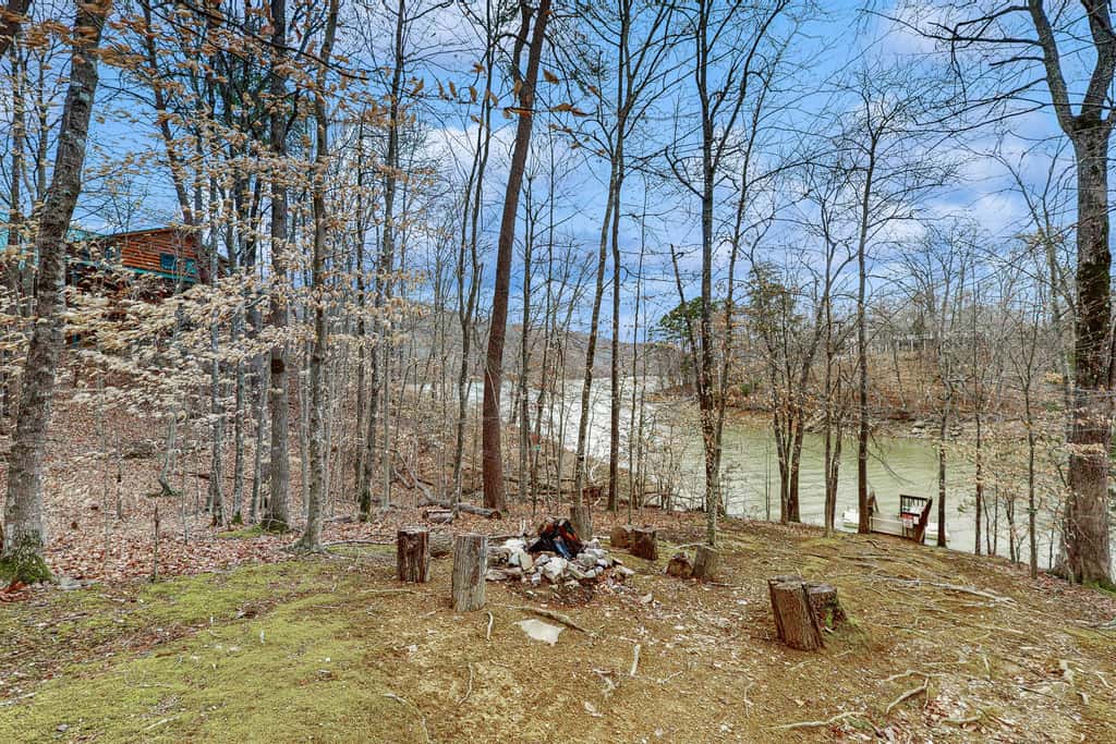 Dog Welcome Lake Home, Sleeps 15, Floating Dock