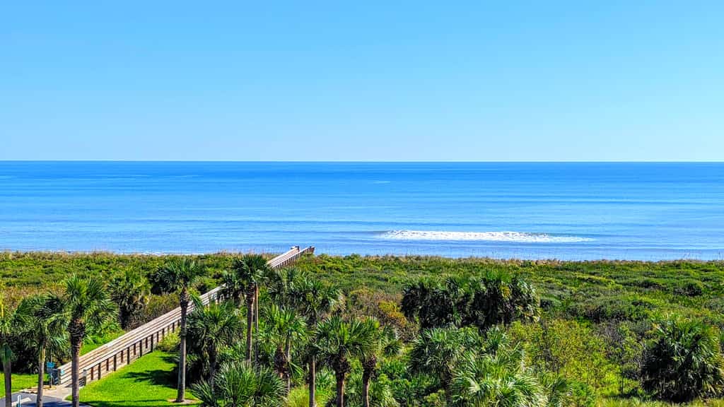 🌴 "Blue Horizon at Surf Club" 🌅 Ocean Views 3rd Floor Corner Wraparound Balcony!