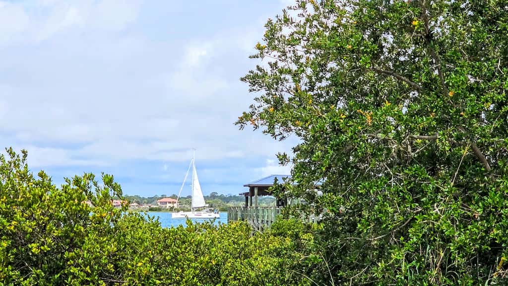 Surfside Oasis