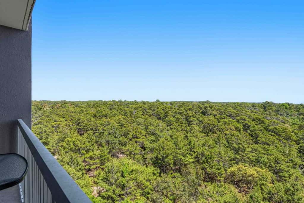 Exclusive 2BR: ocean views, pool, hot tub