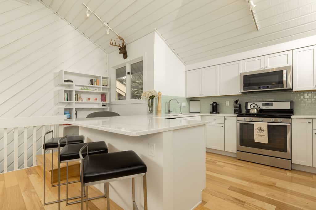 Sunburst in Sun Valley! Modern Family Getaway in Elkhorn.