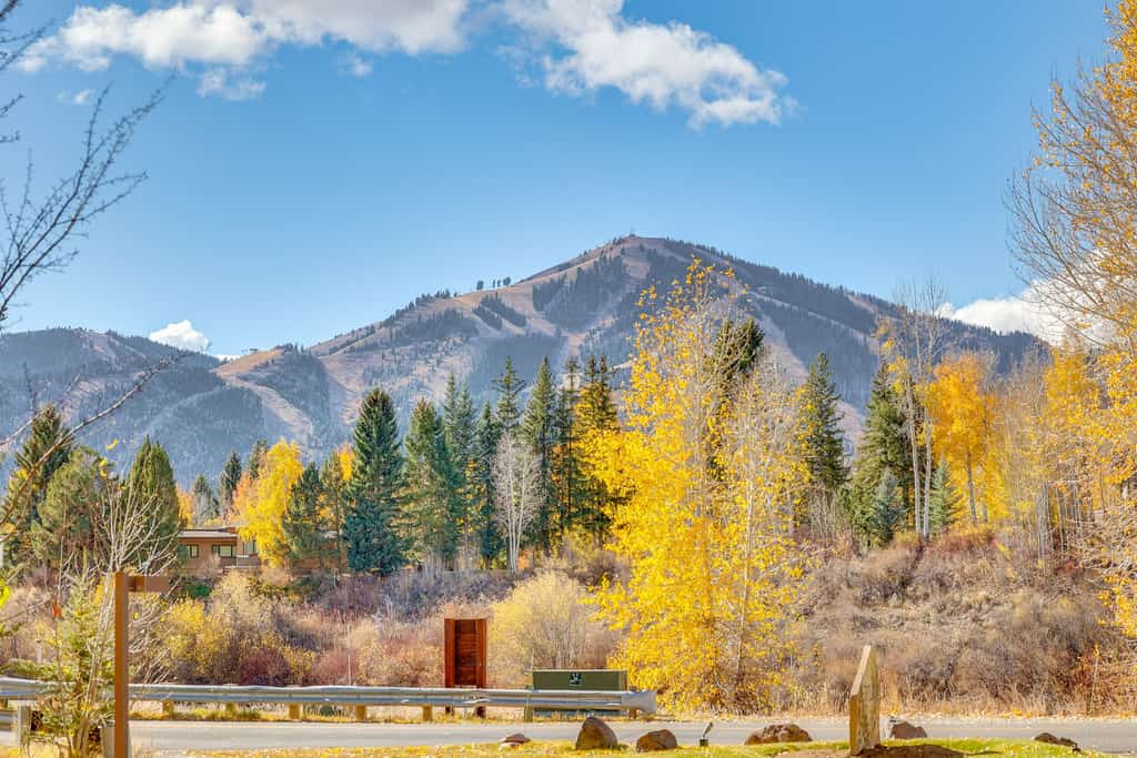 Atelier Alpine - Modern 2BD Condo w/Baldy Views