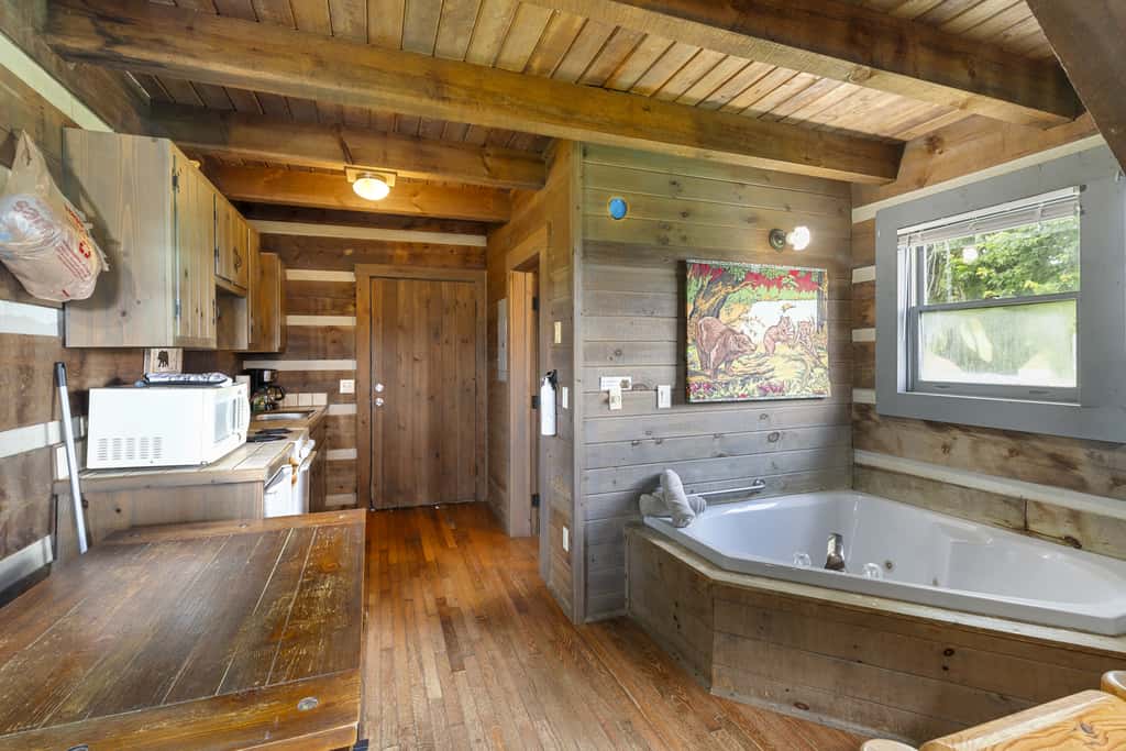 Pilot Mountain Cabin