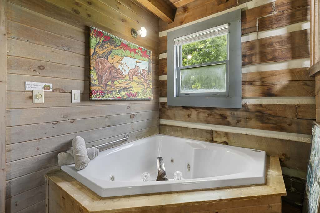 Pilot Mountain Cabin