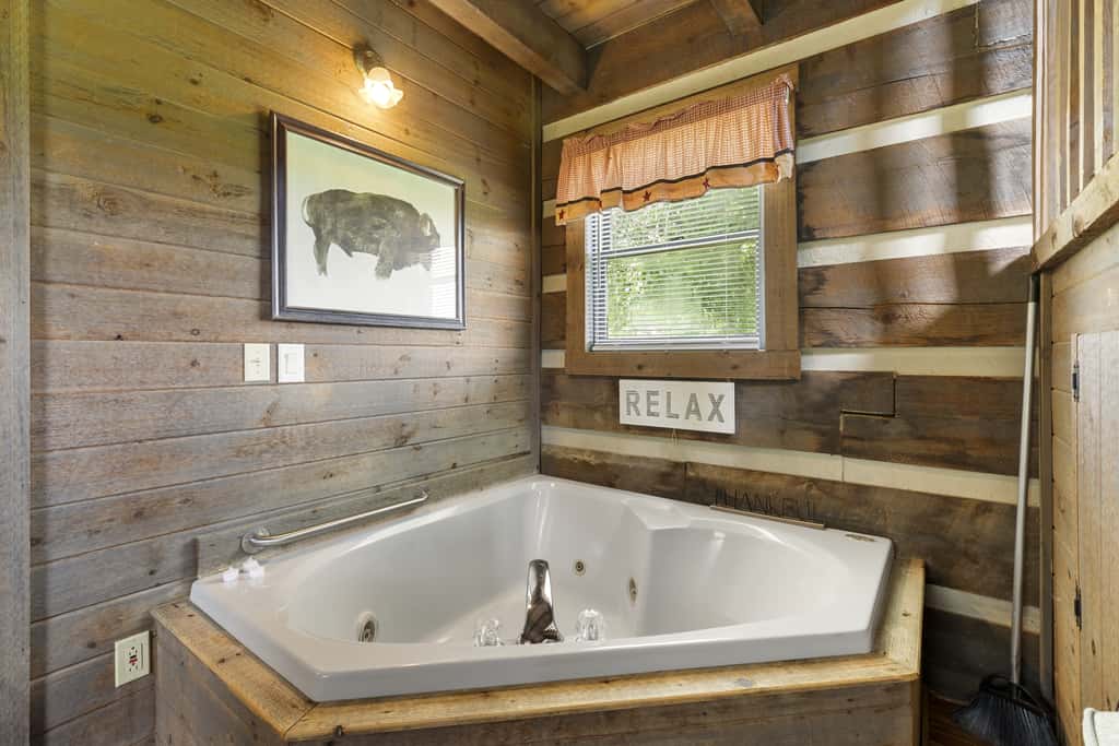 Buffalo Mountain Cabin