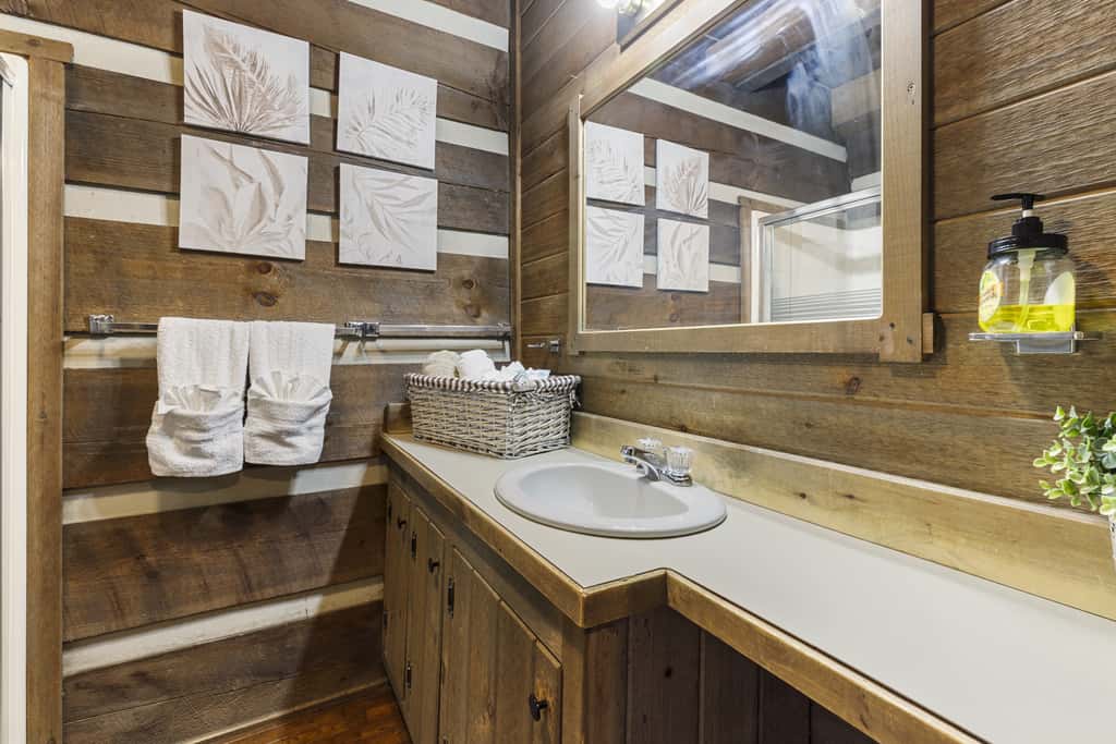 Buffalo Mountain Cabin