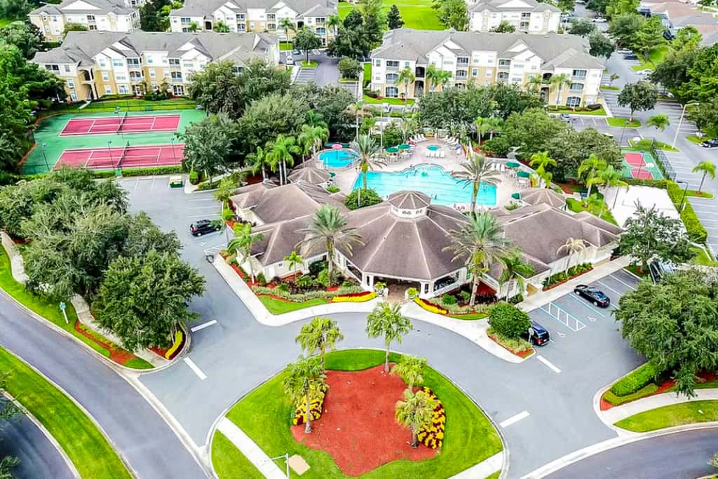 Silver Palms