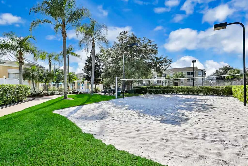 Silver Palms