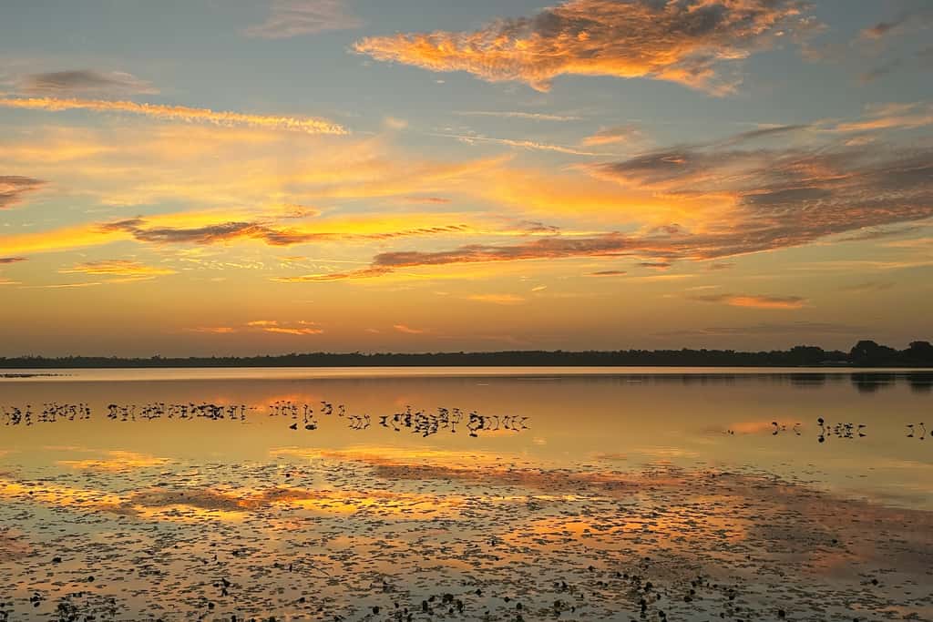 Red Beach Lake Escape