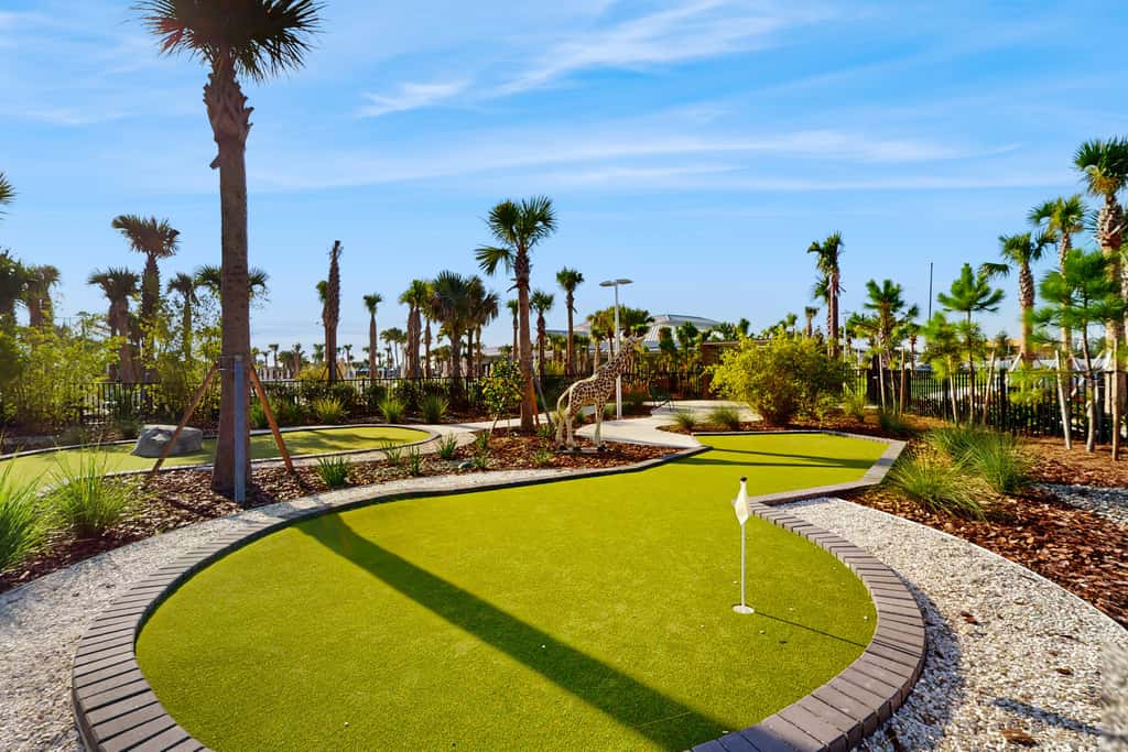 Palm Haven