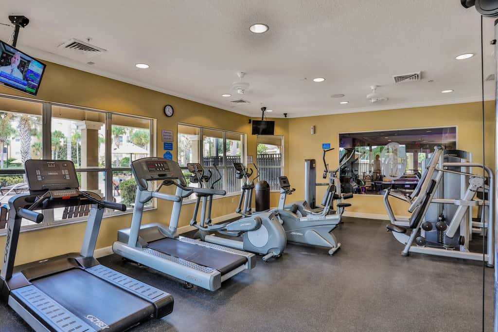 Yellow Starfish - Windsor Hills