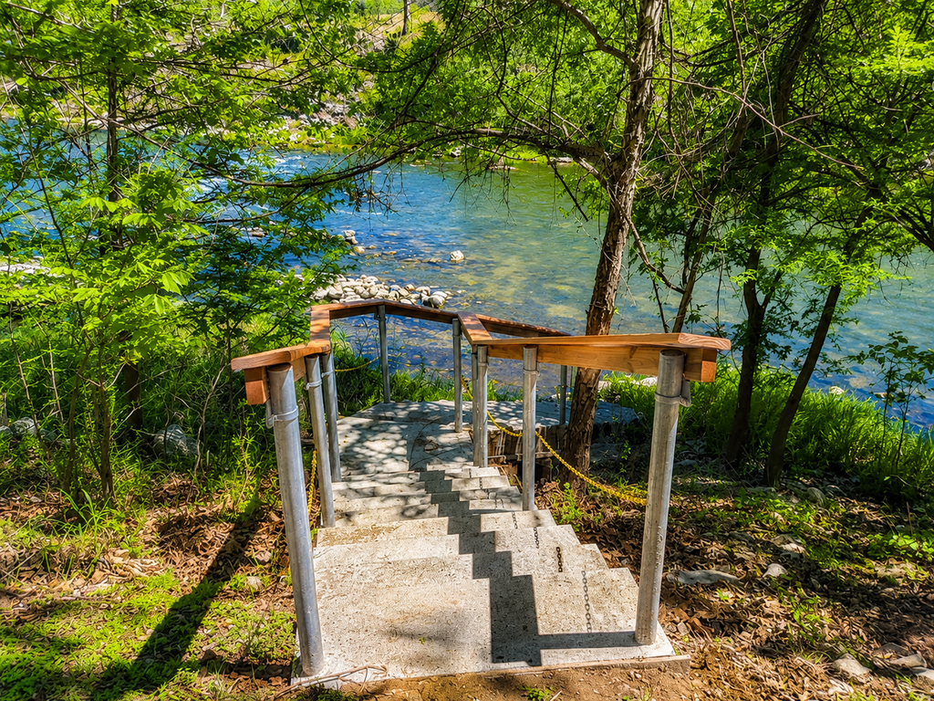 The Trout River House