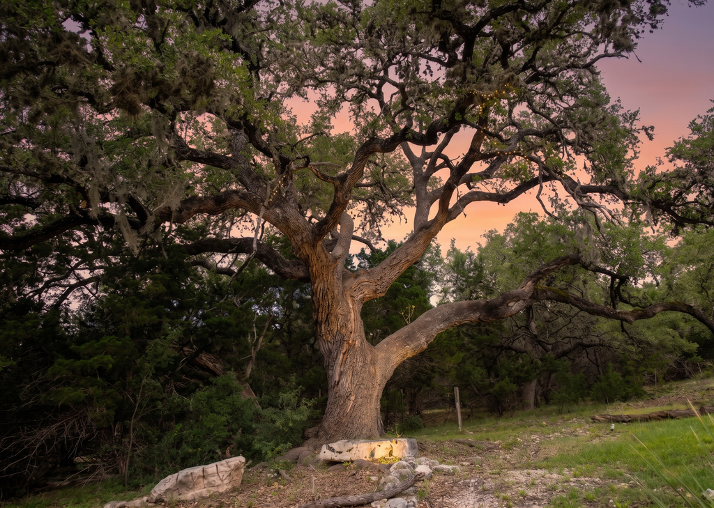 Century Oak House - Casita B