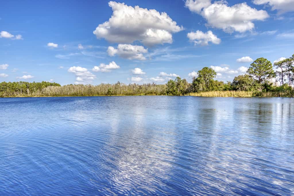 Exclusive villa: pool, EV charger, near Disney