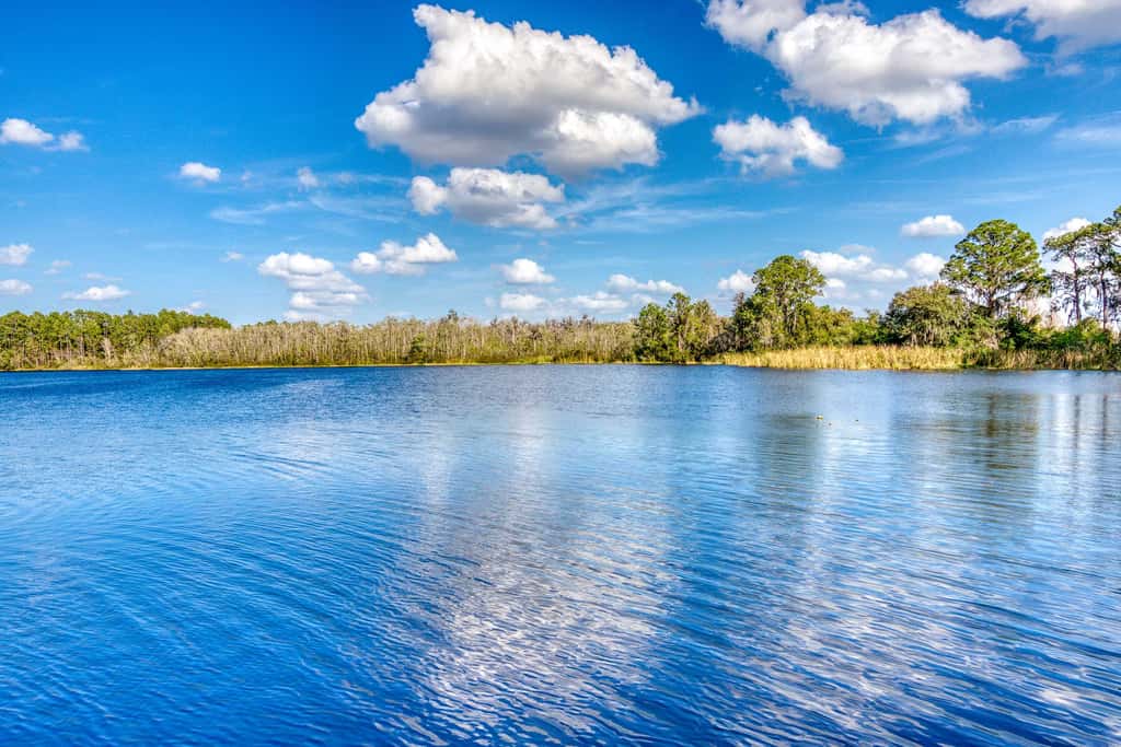 First floor lake view condo w/ pool & hot tub access, private W/D, & central AC
