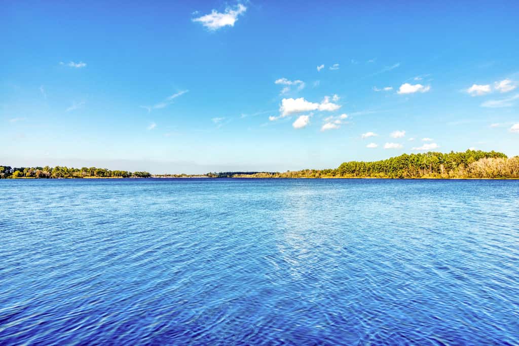 Condo w/ shared pools, fitness center - near Old Lake Davenport & Disney