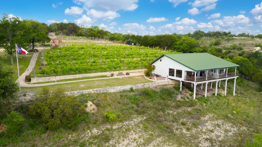 Shiraz Haus