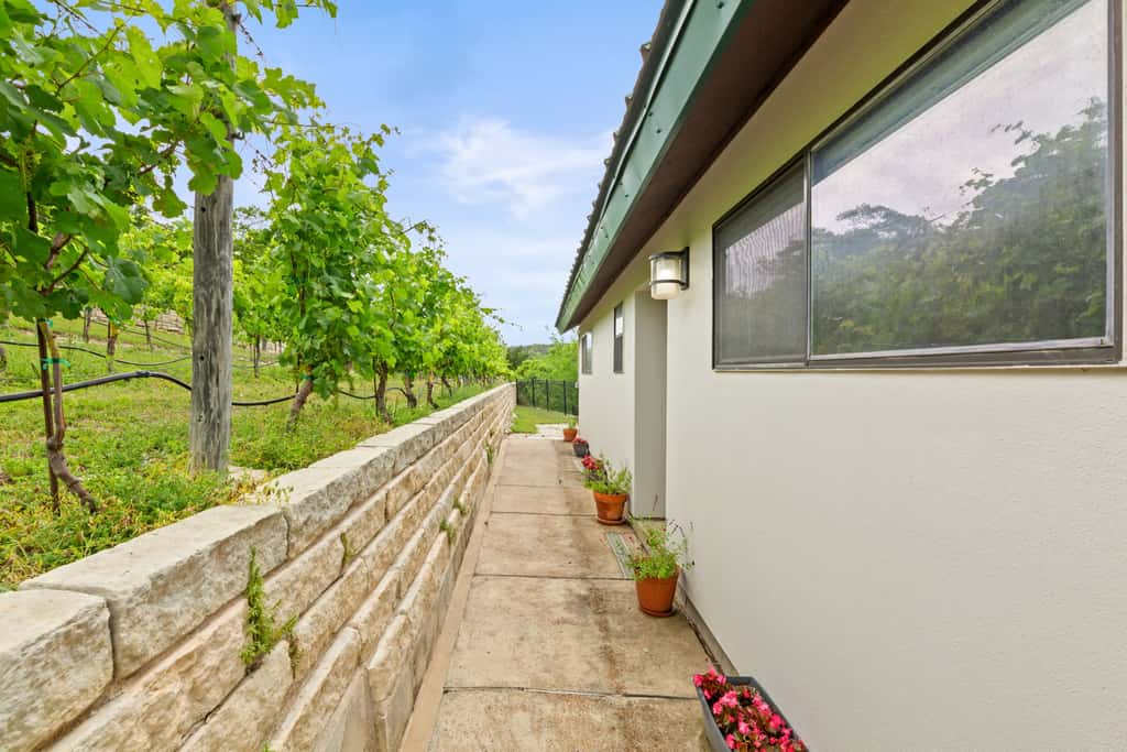 Shiraz Haus