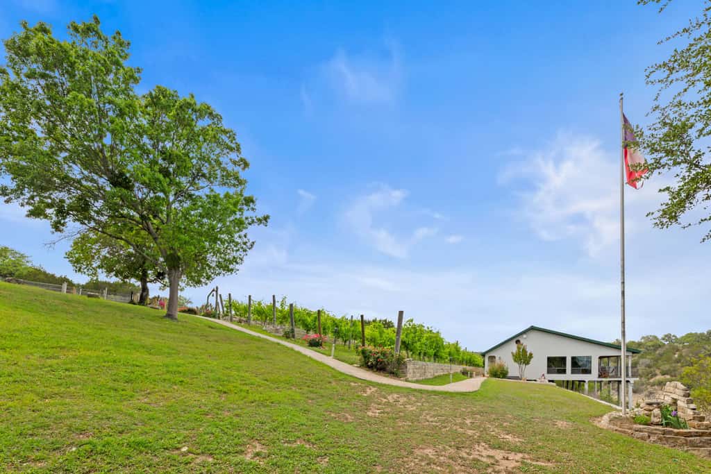 Shiraz Haus