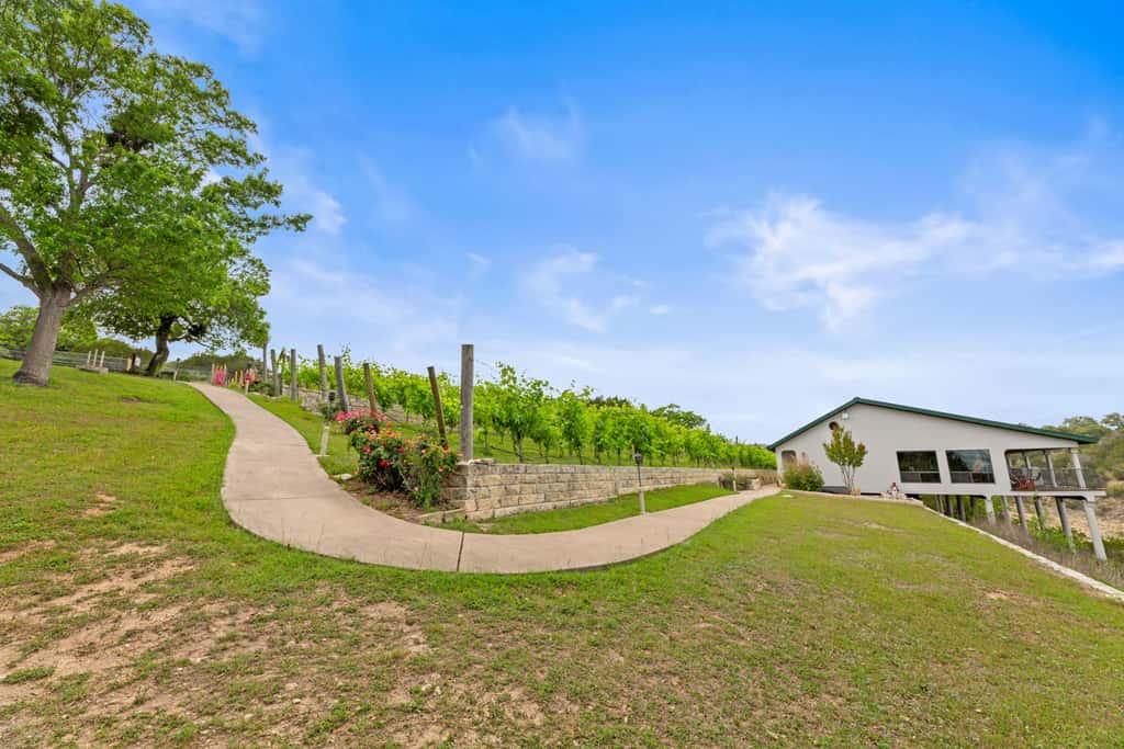 Shiraz Haus