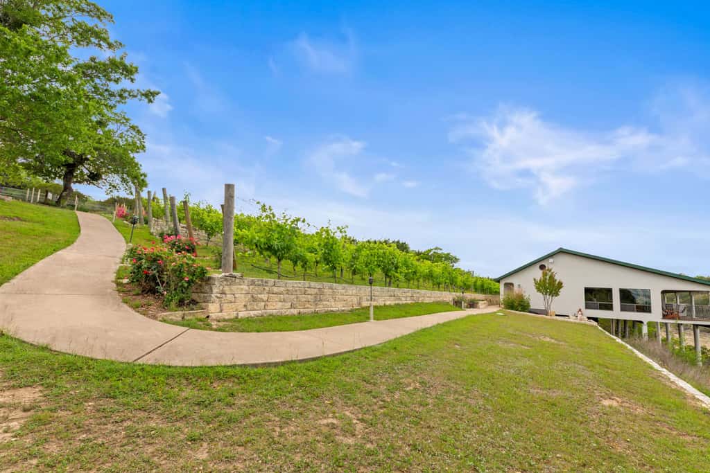 Shiraz Haus