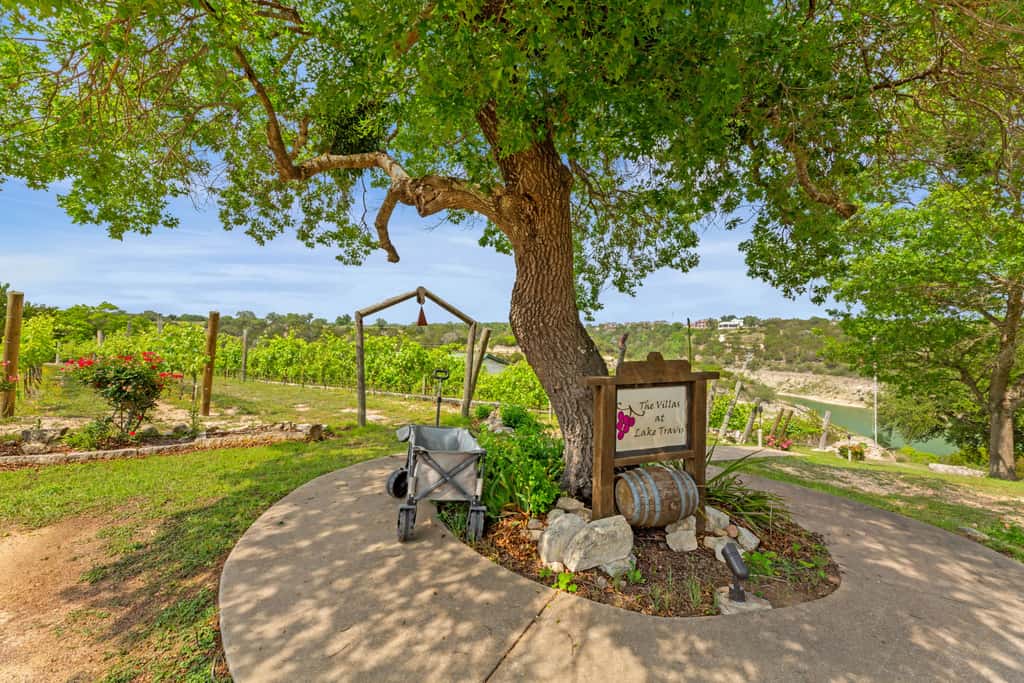 Shiraz Haus