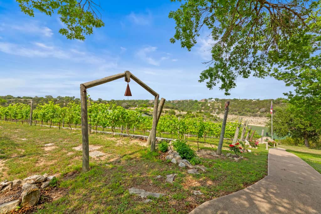 Shiraz Haus