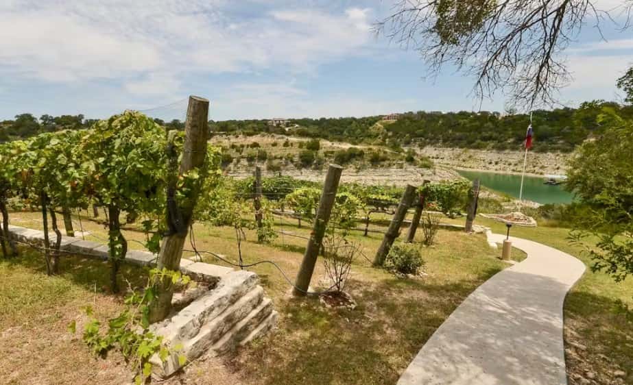 Vineyard Haus