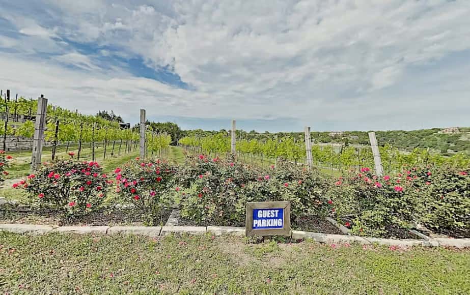 Vineyard Haus