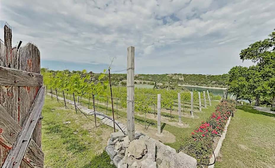 Vineyard Haus
