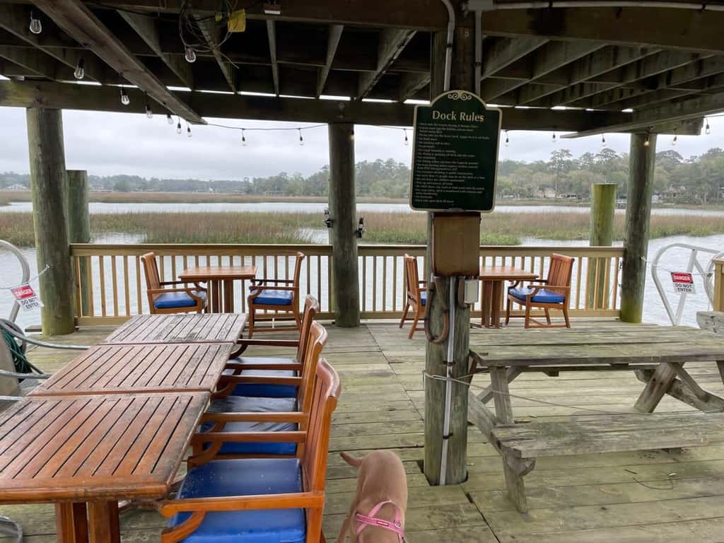 Dock&Volleyball! Near Downtown- Orange Oasis
