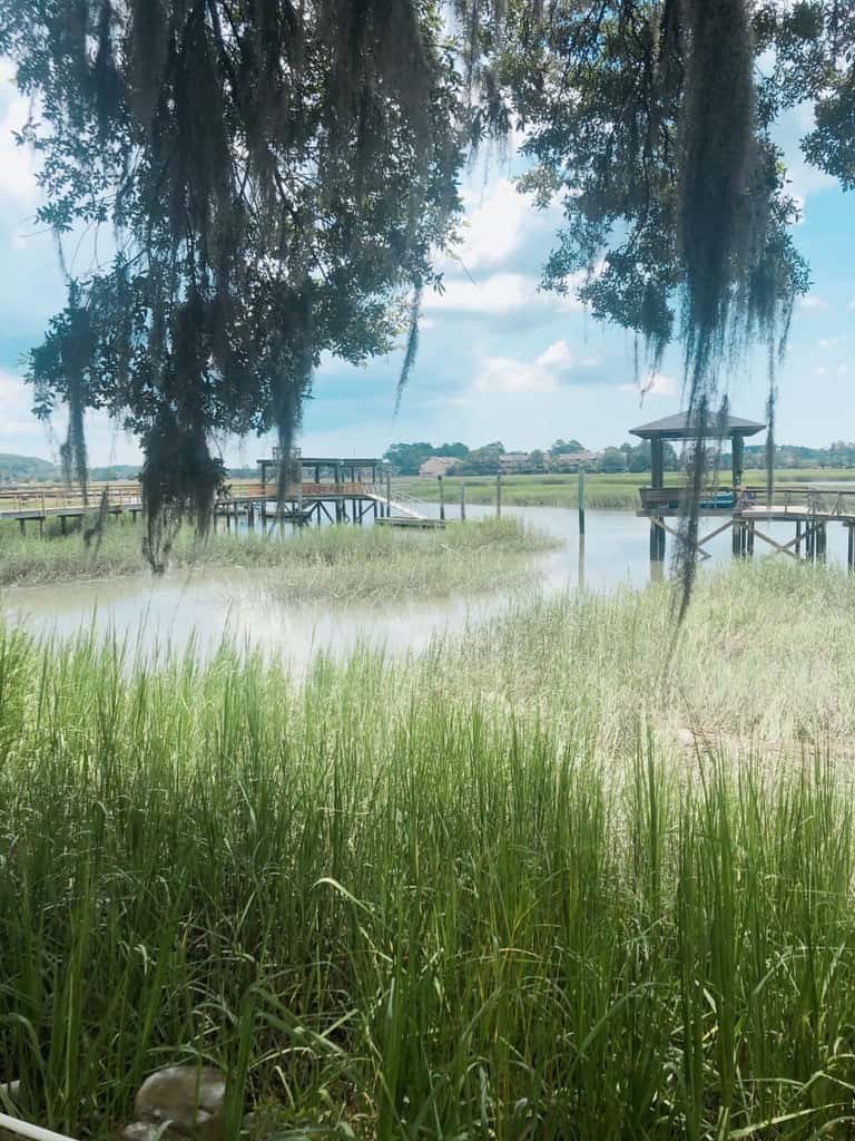 Dock&Volleyball! Near Downtown- Orange Oasis