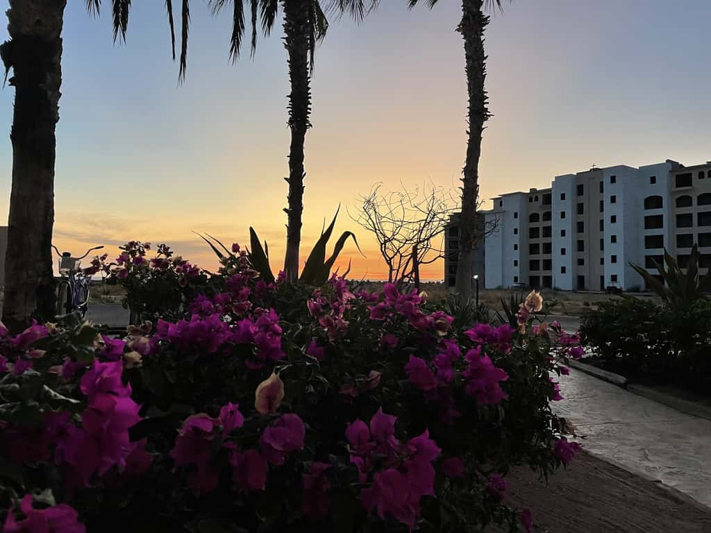 Paraiso Del Mar Resort PDM D103
