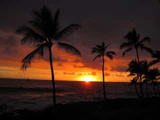 Outstanding Oceanfront 🌅 Deluxe Condo! ✨ Kona Reef D-14
