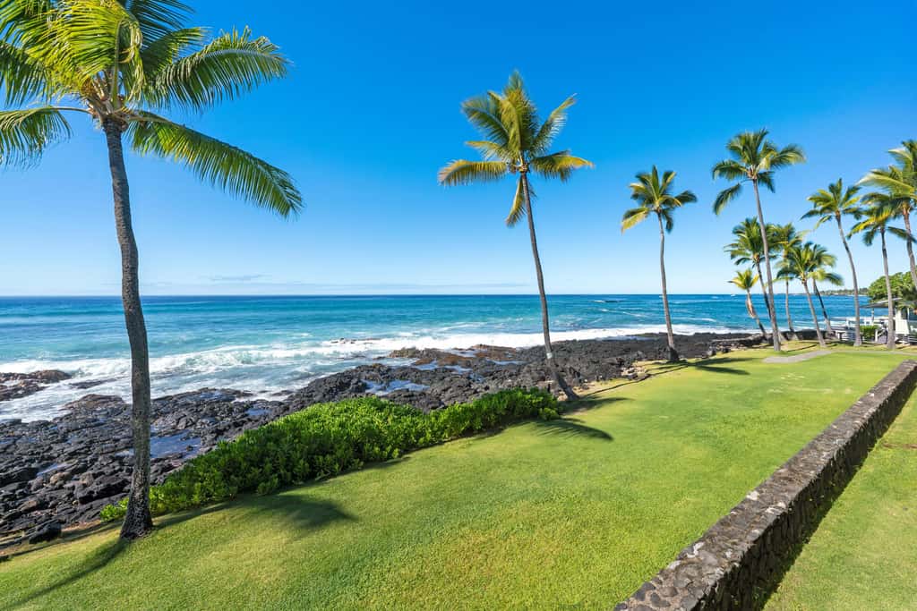 Kona Reef D-14
