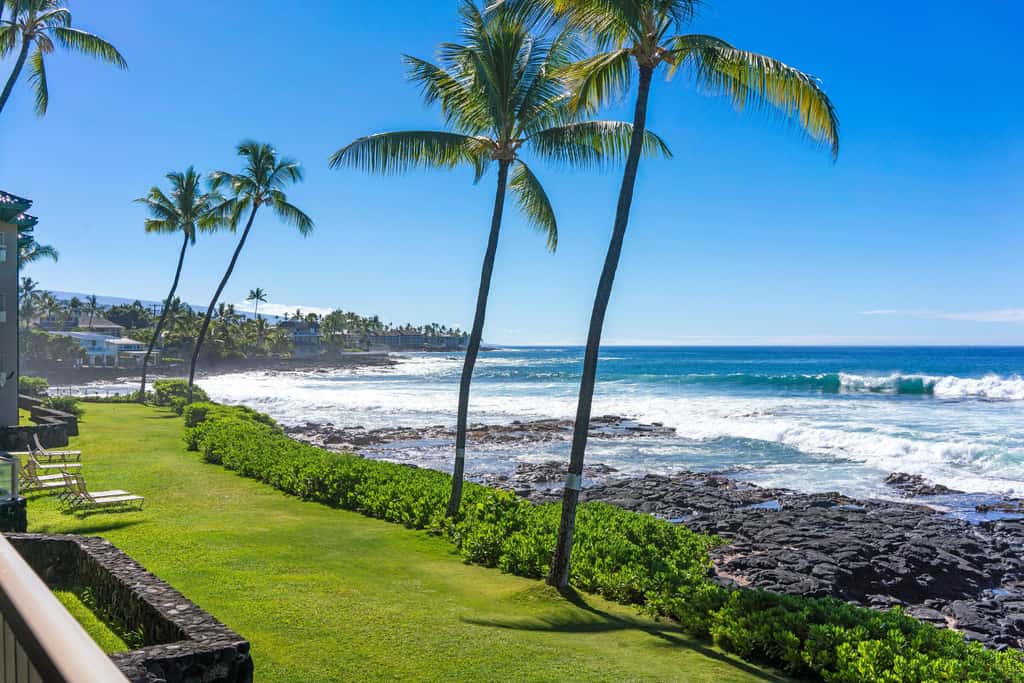 Kona Reef D-14