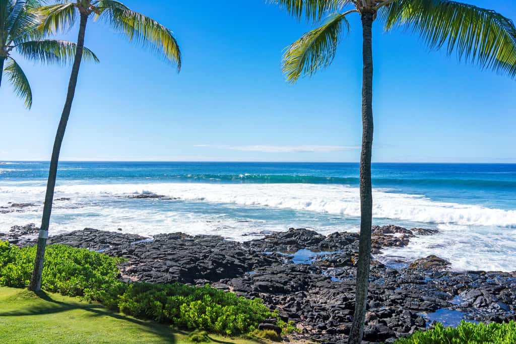 Kona Reef D-14